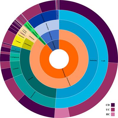 Overrepresentation of Enterobacteriaceae and Escherichia coli is the major gut microbiome signature in Crohn’s disease and ulcerative colitis; a comprehensive metagenomic analysis of IBDMDB datasets